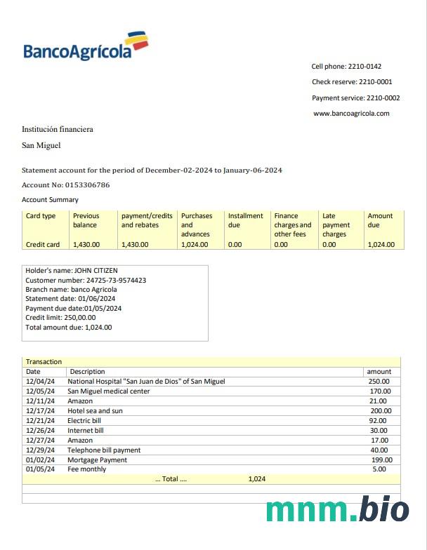 Dominica National Bank of Dominica wzór wyciągu bankowego w formacie Word i PDF